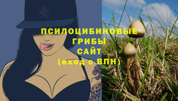 бошки Волосово