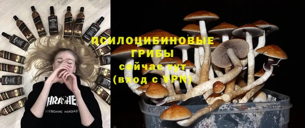 мяу мяу мука Волоколамск