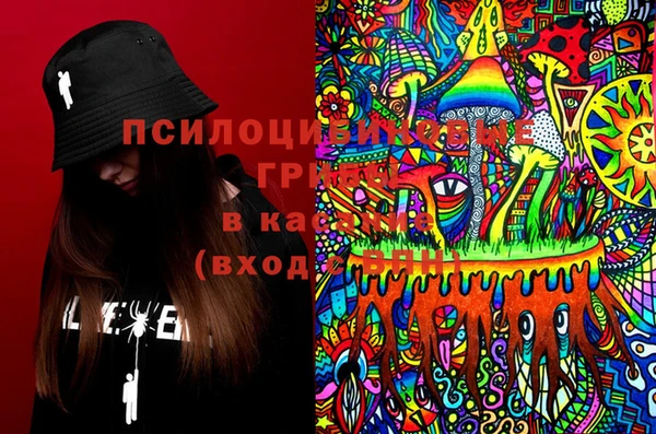 мяу мяу мука Волоколамск