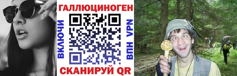 Купить  Кстово  Псилоцибиновые грибы Magic Shrooms 